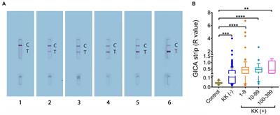 Comparative assessment of the SjSAP4-incorporated gold immunochromatographic assay for the diagnosis of human schistosomiasis japonica